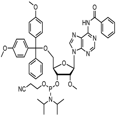 2'-O-Methyl-rA(N-Bz)phosphoramidite