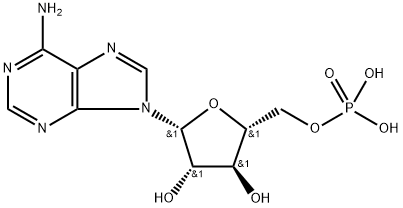 Ara-AMP