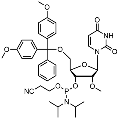 DMT-2'O-Methyl-rU Phosphoramide