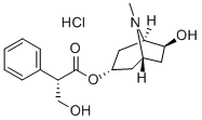LahiAnisodamine